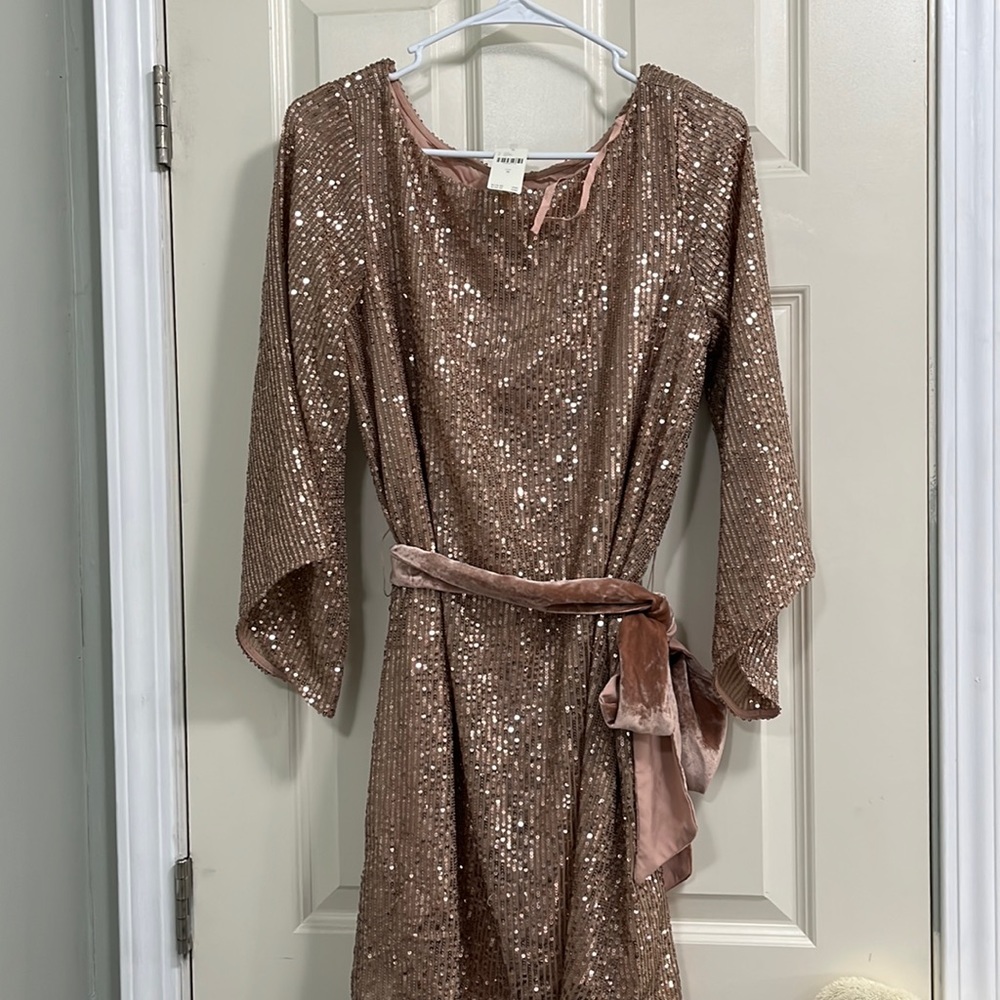 Anthropologie Dress NWT